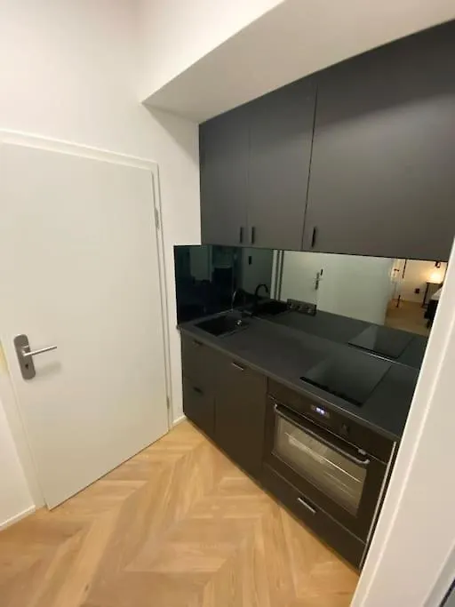 Design Apartment In The Centre Of Vienna Austria